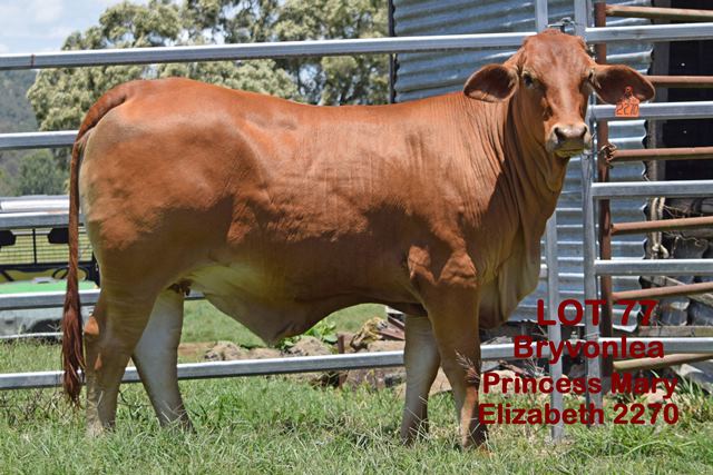 P M Elizabeth 2270